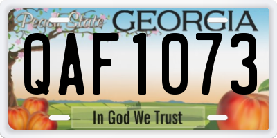 GA license plate QAF1073