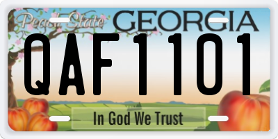 GA license plate QAF1101