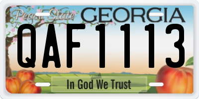 GA license plate QAF1113