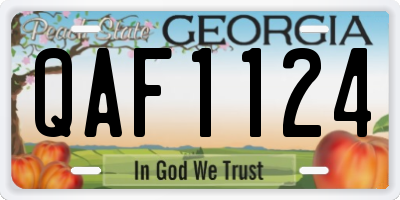 GA license plate QAF1124