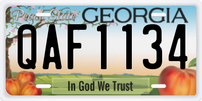 GA license plate QAF1134