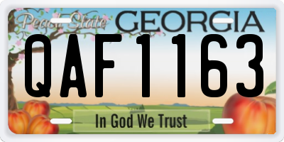 GA license plate QAF1163
