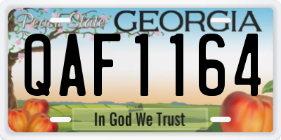 GA license plate QAF1164