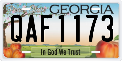 GA license plate QAF1173