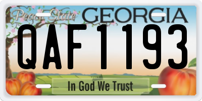 GA license plate QAF1193