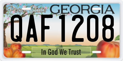 GA license plate QAF1208