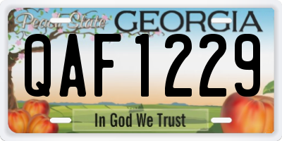 GA license plate QAF1229