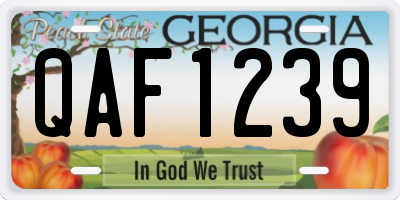 GA license plate QAF1239