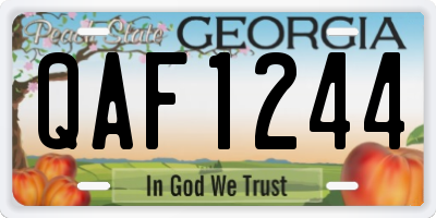GA license plate QAF1244