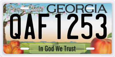 GA license plate QAF1253