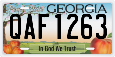 GA license plate QAF1263