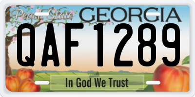GA license plate QAF1289
