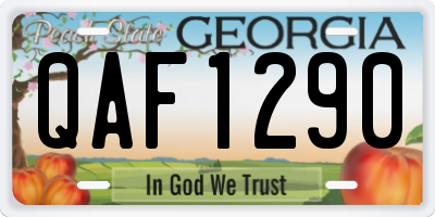 GA license plate QAF1290