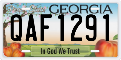 GA license plate QAF1291