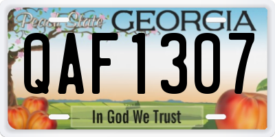 GA license plate QAF1307
