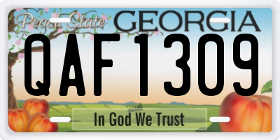 GA license plate QAF1309