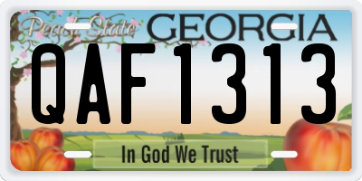 GA license plate QAF1313