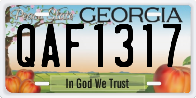 GA license plate QAF1317