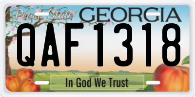 GA license plate QAF1318