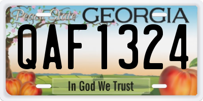 GA license plate QAF1324