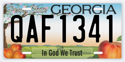 GA license plate QAF1341