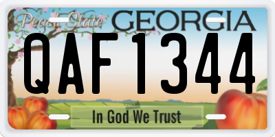 GA license plate QAF1344