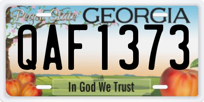 GA license plate QAF1373