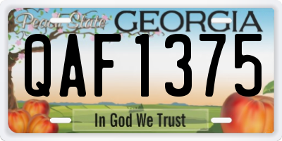 GA license plate QAF1375