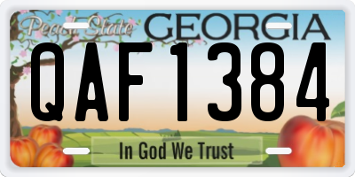 GA license plate QAF1384