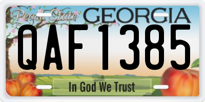 GA license plate QAF1385