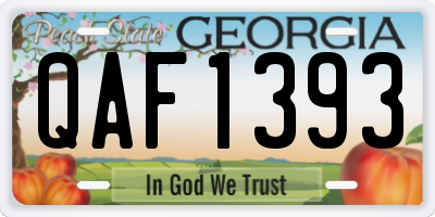 GA license plate QAF1393