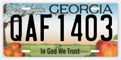 GA license plate QAF1403