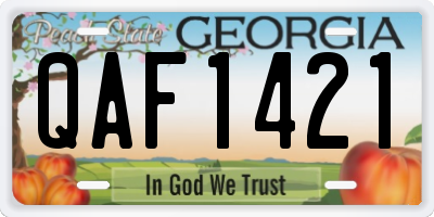 GA license plate QAF1421