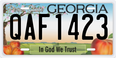 GA license plate QAF1423
