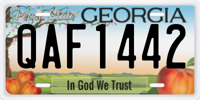 GA license plate QAF1442