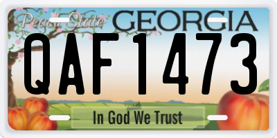 GA license plate QAF1473