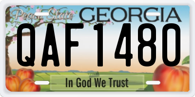 GA license plate QAF1480