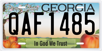 GA license plate QAF1485