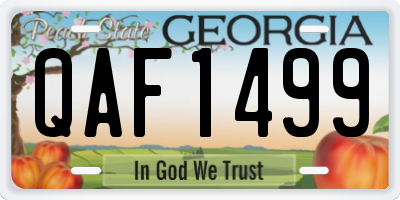 GA license plate QAF1499