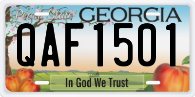 GA license plate QAF1501