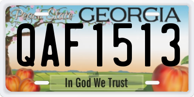 GA license plate QAF1513