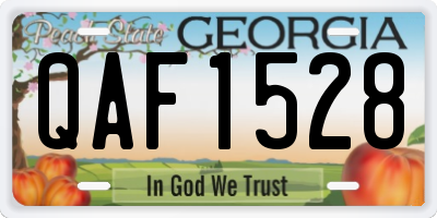 GA license plate QAF1528