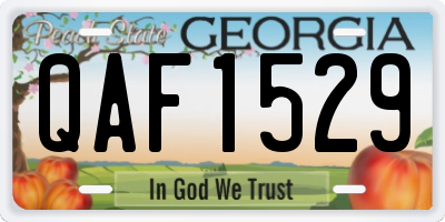GA license plate QAF1529