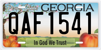 GA license plate QAF1541