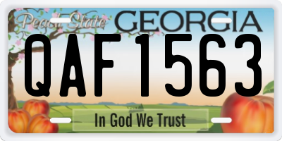 GA license plate QAF1563