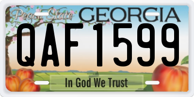 GA license plate QAF1599
