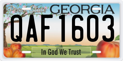 GA license plate QAF1603