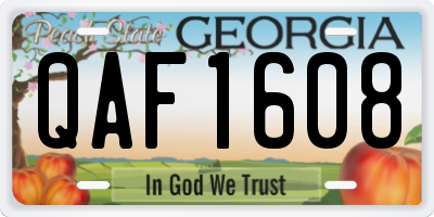 GA license plate QAF1608