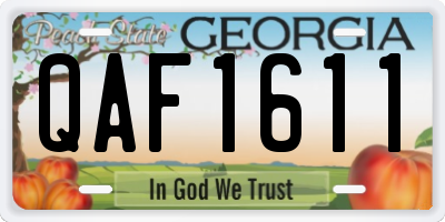 GA license plate QAF1611