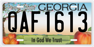 GA license plate QAF1613